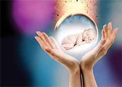 舟山群岛新区怀孕五周需要怎么做无创孕期亲子鉴定，在舟山群岛新区做无创孕期亲子鉴定大概价格