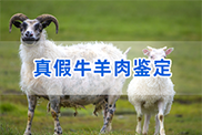 舟山群岛新区羊类动物鉴定